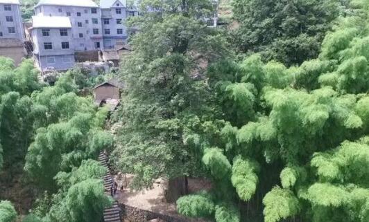 西安中央空調(diào)機(jī)組哪家好 西安中央空調(diào)機(jī)組哪家好